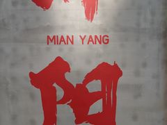 -绵阳南郊机场