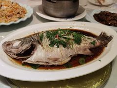 清蒸鲈鱼-南来顺饭庄·清真(南菜园店)