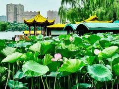 -济南大明湖景区
