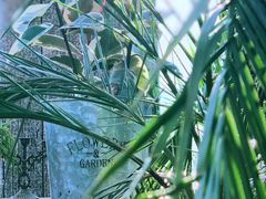 -北马山庄植趣咖啡