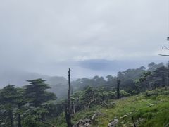 -苍山感通索道