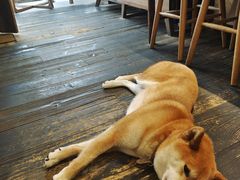 -三目仓咖啡(贤南路店)