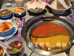 -生活如沸·顺德水牛奶火锅(人民广场店)