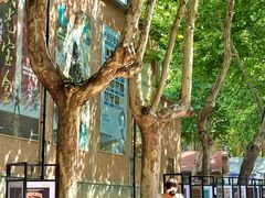 -西安电影制片厂