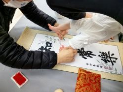 -海豚湾高端月子会所(黄浦店)