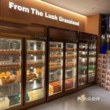 就算是凛冽的寒风，这家店也是人满为患