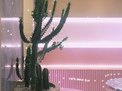 -蜜思琪蛋糕(民生路店)