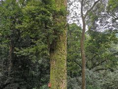 -青城山