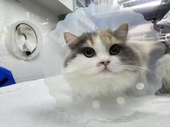 -达爱动物医院·犬猫分区·CT·复杂眼科(远洋山水分院)