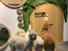 -藦茜花园宠物主题亲子互动体验馆(国顺东路店)