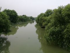 -长兴太湖图影湿地文化园