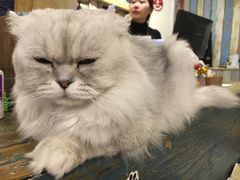 -小时光咖啡馆(开森度假森林店)