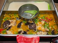 -新辣道鱼火锅(龙旗广场店)