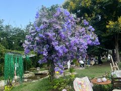 -HERRE·FARM 赫尔露营农场·团建聚会包场