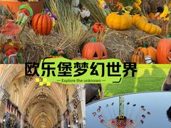 -泉城欧乐堡梦幻世界