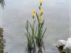 -月坛公园