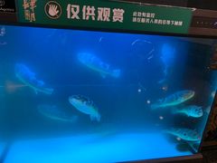 -肆月河豚·淮扬菜·湘菜(华天店)