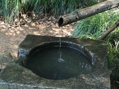 -梦姑塘文化公园