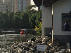 -团结湖公园
