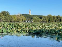 -长春净月潭风景名胜区