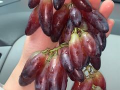 -世纪联华超市(外海店)