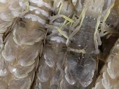 -顺鑫石门市场
