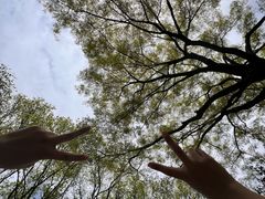 -茅家埠