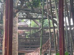 -长鹿旅游休博园