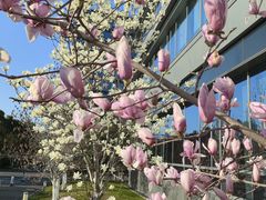 -浦江镇(地铁站)