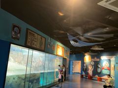 -海合安武汉极地海洋公园