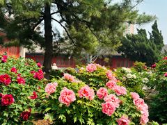 -大钟寺古钟博物馆