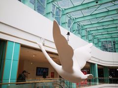 -大族广场Mall&More