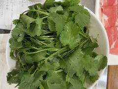 -草原传奇鲜羊火锅(桥北店)