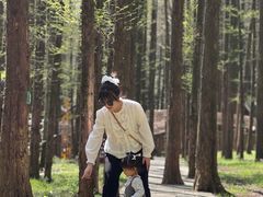 -山王坪喀斯特国家生态公园
