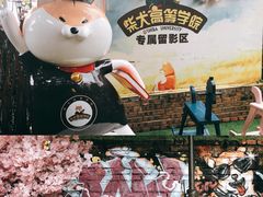 -柴犬高等学院·狗咖·柴犬售卖·宠物训练