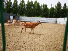 -武清南湖绿博园