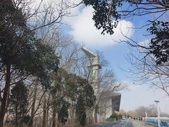 -盐城丹顶鹤湿地生态旅游区