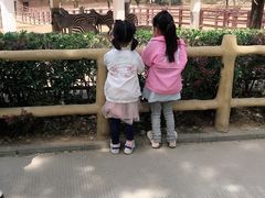 -石家庄市动物园