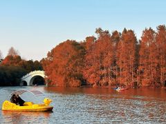 -上海海湾国家森林公园