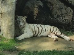 -北京野生动物园