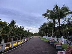 -野狸岛