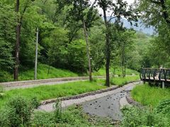 -白水寺森林公园