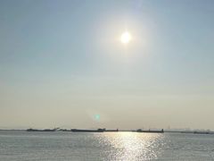 -芒洲湿地公园