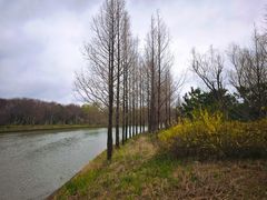 -同里国家湿地公园