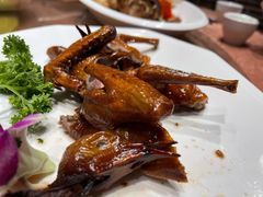 乳鸽-鹅城