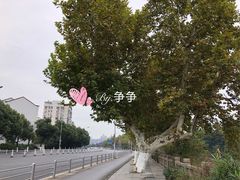 -锡师附小学(学前街校区)