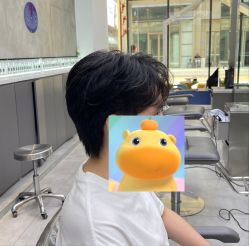 -天使之手