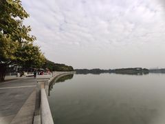 -海珠湖公园