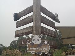 -泉州海丝野生动物世界