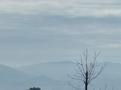 -东钱湖旅游度假区